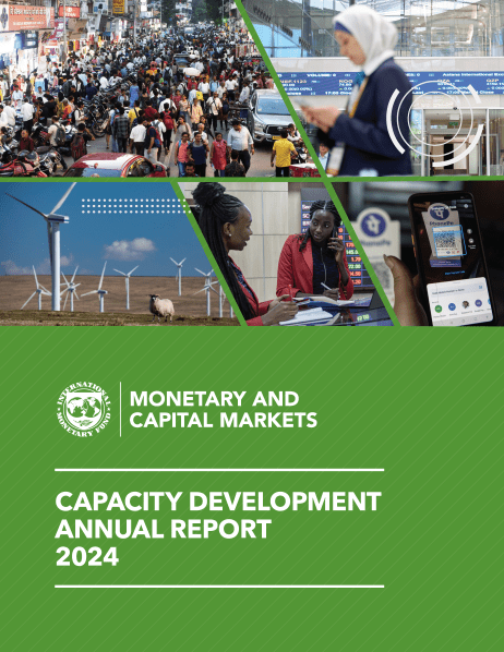 Capacity Development Annual Report 2024