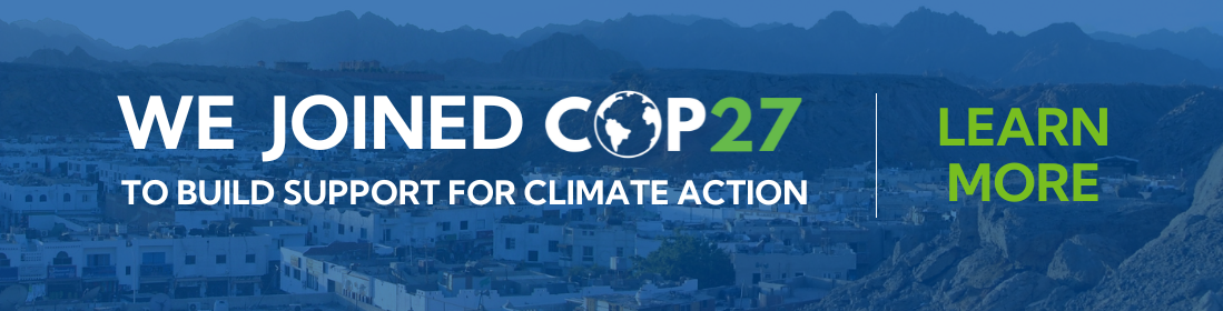 COP27