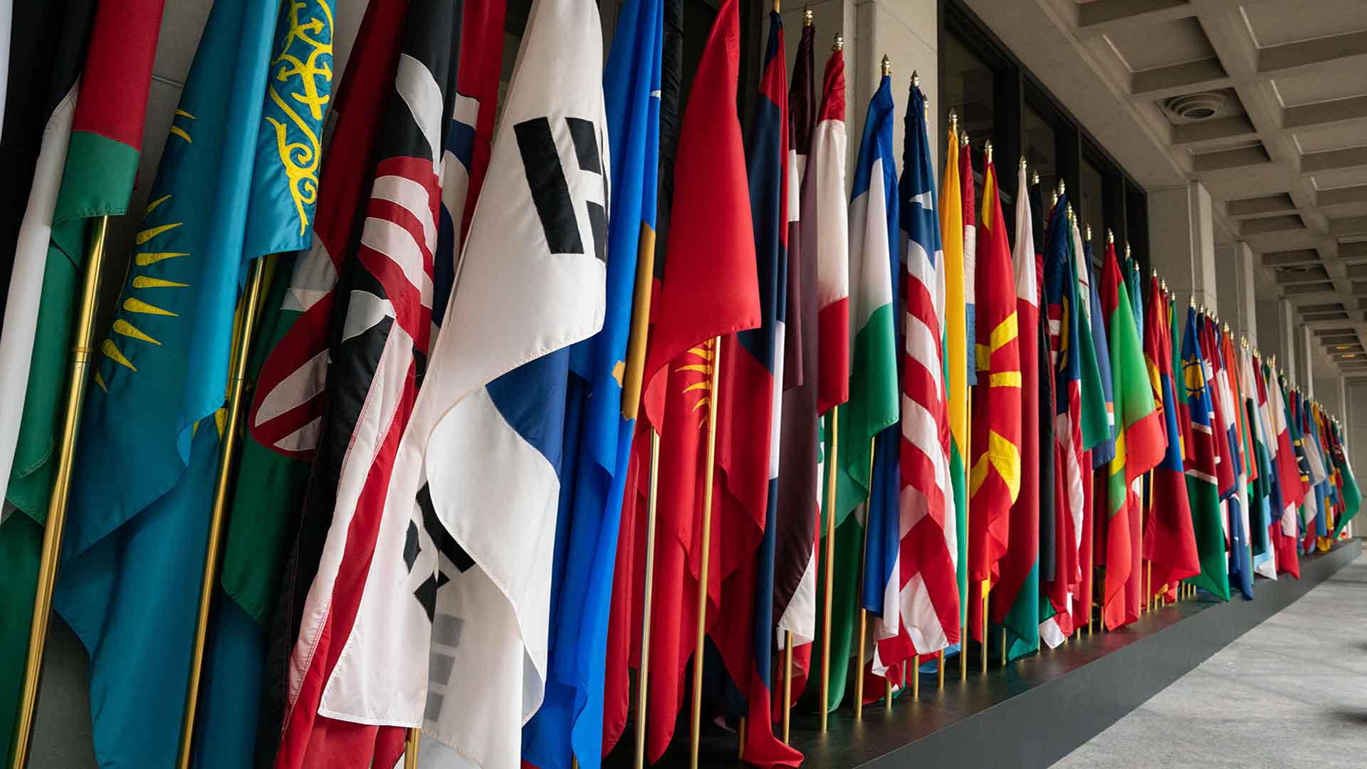 imf-flags-membership