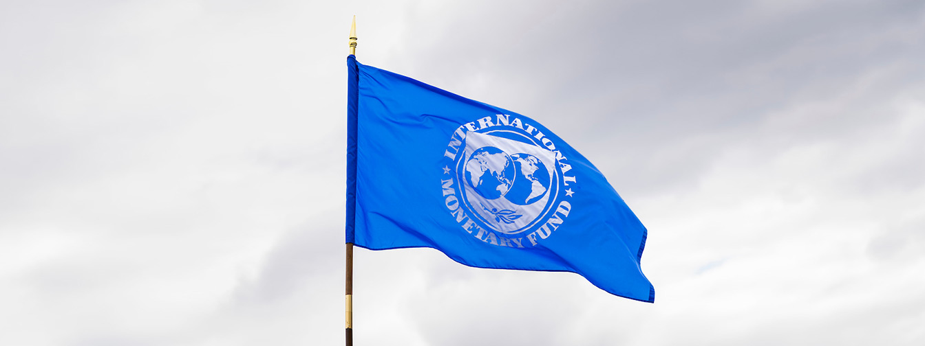 A blue flag with the IMF logo